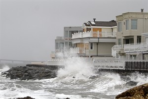 CP20583509