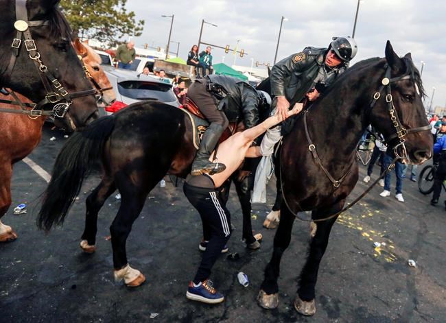 Eagles fan accused of punching police horse sues team, cops | iNFOnews.ca