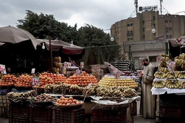 Egyptians bear down under worst inflation in a decade | iNFOnews.ca