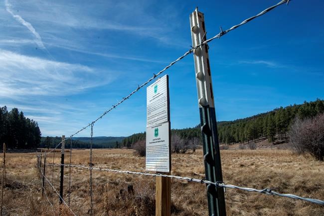 Ranchers, environmental groups work to improve public lands | iNFOnews.ca