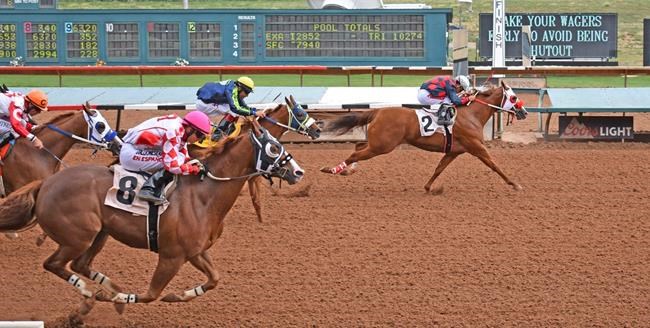 Lawsuit by owner, trainer targets New Mexico horse racing | iNFOnews.ca