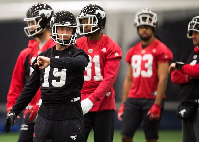 Levi, Stampeders, look to finish dominant season with Grey Cup win | iNFOnews.ca CP895641260