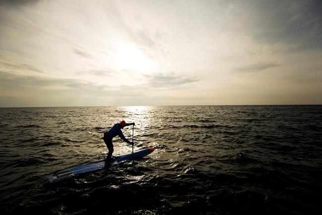 Olympic canoe champion Larry Cain carves niche in paddleboard racing | iNFOnews.ca CP574395575