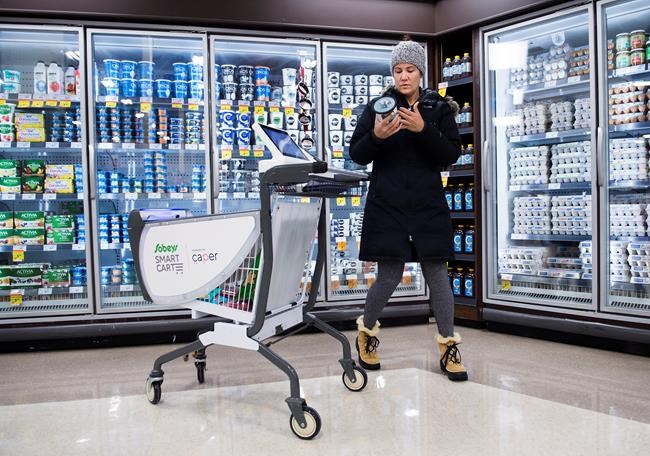 Beyond self-checkouts: Carts, apps look to make grocery shopping hassle-free | iNFOnews.ca CP1133167431
