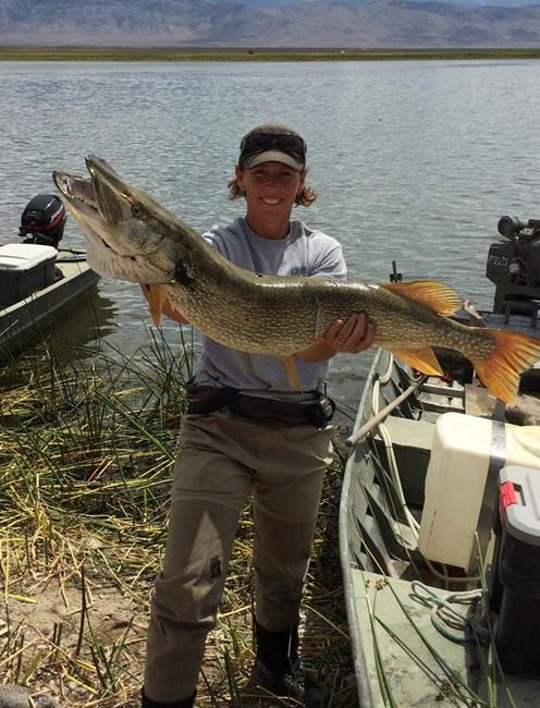 Reward offered to catch Nevada lake invasive fish dumper | iNFOnews.ca