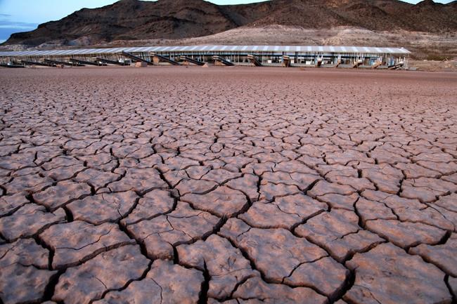 Nevada water chief rejects big Vegas pipeline pumping plan | iNFOnews.ca Nevada water chief rejects big Vegas pipeline pumping plan | iNFOnews.ca
