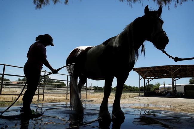 The Latest: Las Vegas ties record high of 117 degrees | iNFOnews.ca