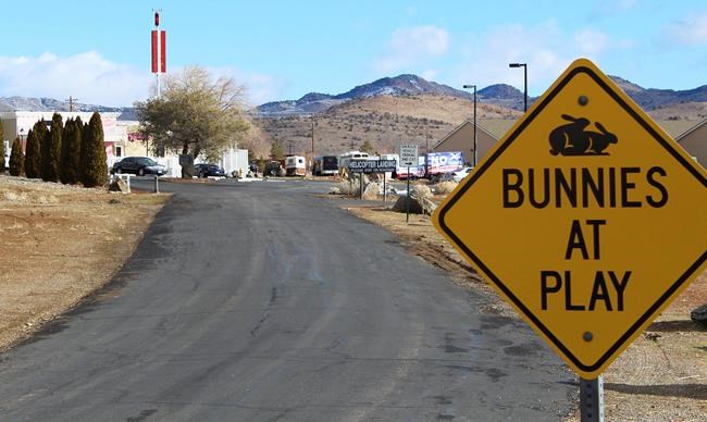 Pandemic makes prostitution taboo in Nevada's legal brothels | iNFOnews.ca