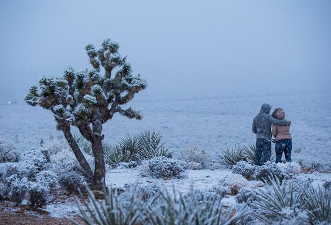 Storm dumps record-breaking snow in Arizona on way to Texas | iNFOnews.ca