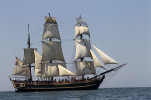 CP20599617
