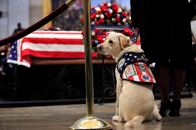 Service organization commissions statue of Bush's dog | iNFOnews.ca Service organization commissions statue of Bush's dog | iNFOnews.ca