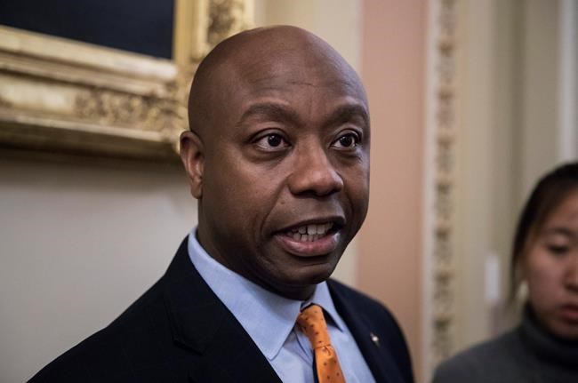 GOP senator sinks Trump nominee, lands in the spotlight | iNFOnews.ca
