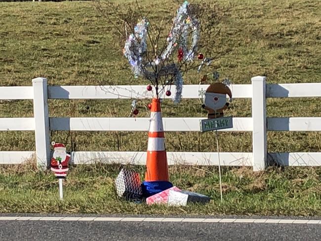 'Cone Weed' gets Christmas makeover in North Carolina town | iNFOnews.ca CP278969472
