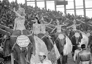 Citing consumer 'mood' and legal costs, Ringling Bros. will remove elephants from its circuses | iNFOnews.ca CP32157707