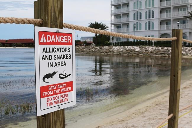 Dad says 2 gators involved in Disney attack that killed son | iNFOnews.ca Dad says 2 gators involved in Disney attack that killed son | iNFOnews.ca