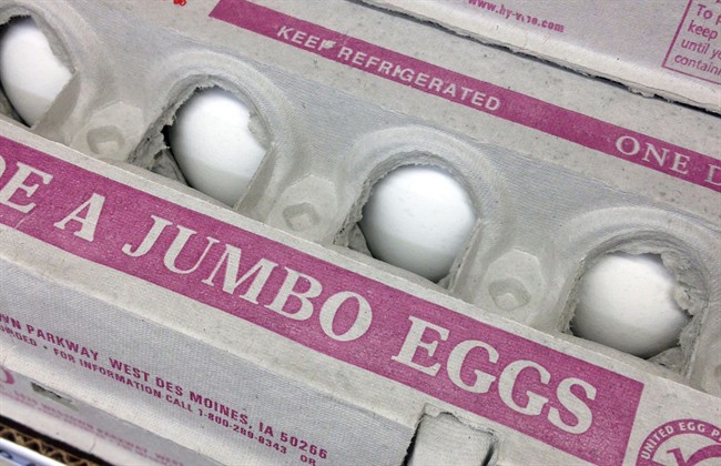 Egg prices surge to record as bird flu decimates Midwest chicken flock | iNFOnews.ca CP33199454