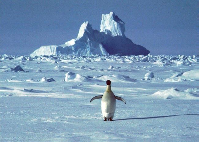 Antarctica appears to have broken a heat record | iNFOnews.ca CP219753416