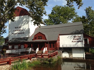 CP29667598