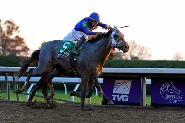Shades of gray rare among Kentucky Derby favourites, winners | iNFOnews.ca CP199126446