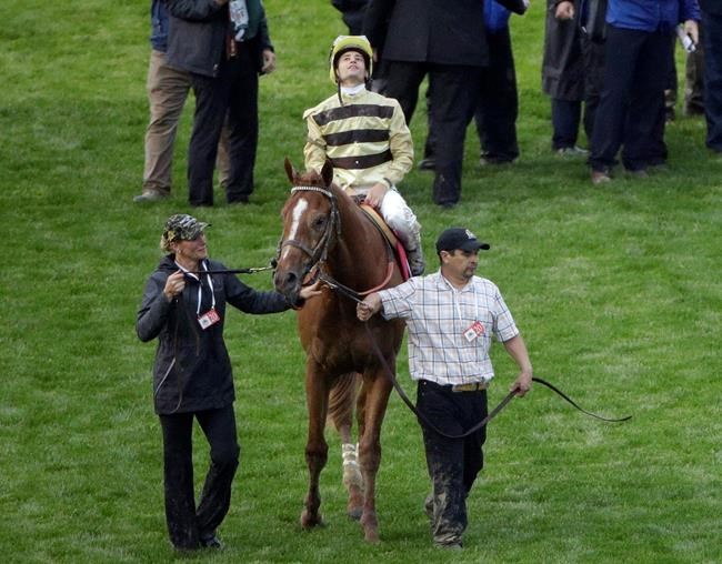 Derby winner Country House out of Preakness due to illness | iNFOnews.ca CP781980538