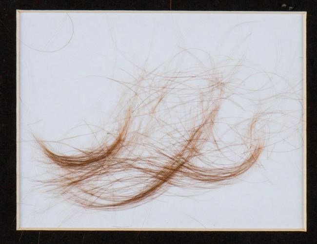 CP1702073369