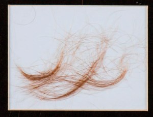 CP1702073369