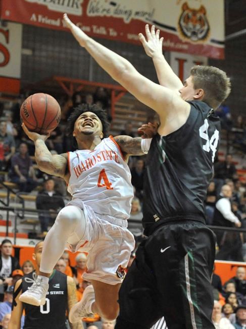 Idaho State's Sam Dowd beats the odds to become DI player | iNFOnews.ca