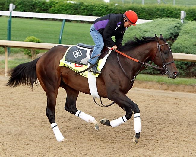 Celebrity chef Bobby Flay buys interest in Belmont horse | iNFOnews.ca