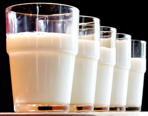 As milk industry fights 'naysayers,' science probes whether milk does a body good | iNFOnews.ca CP31697261