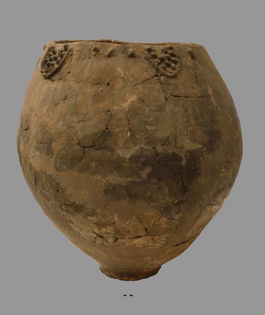 Talk about vintage: Pottery shards show 8,000-year-old wine | iNFOnews.ca Talk about vintage: Pottery shards show 8,000-year-old wine | iNFOnews.ca