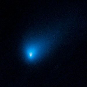CP1137544014