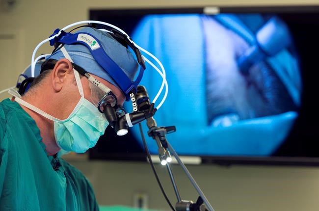 Enemy turned ally: Poliovirus is used to fight brain tumors | iNFOnews.ca