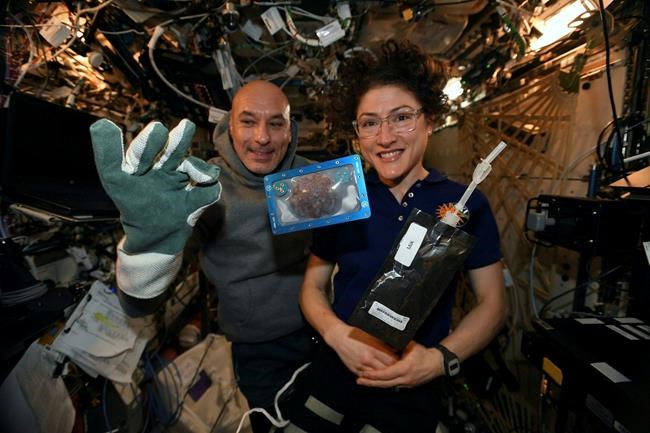 Space-baked cookies, 'mighty' mice back on Earth via SpaceX | iNFOnews.ca CP179080235