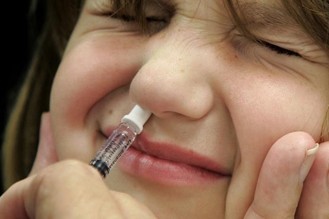 US panel says it's OK to use nasal spray flu vaccine again | iNFOnews.ca