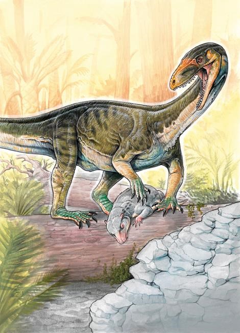 Reptile fossils hint at wide diversity of dinosaur ancestors | iNFOnews.ca