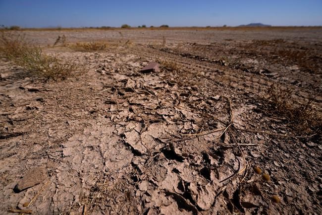 Forecasters: Drought more likely than blizzards this winter | iNFOnews.ca CP972041756