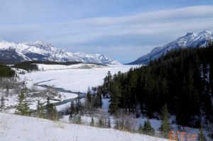 CP1820652786