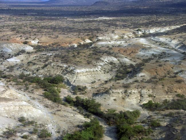 Stone tools from Kenya give early glimpse of human behaviour | iNFOnews.ca