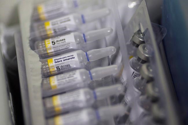 Yellow fever shots urged for Brazil travellers amid outbreak | iNFOnews.ca