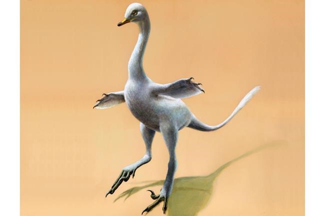 New dinosaur looks like odd mix of duck, croc, ostrich, swan | iNFOnews.ca