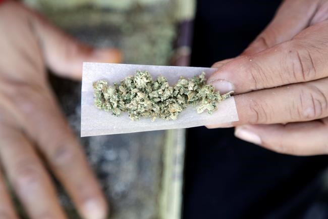 Doctors warn against teen pot use amid looser marijuana laws | iNFOnews.ca