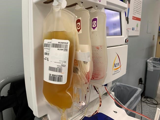 Researchers ask if survivor plasma could prevent coronavirus | iNFOnews.ca