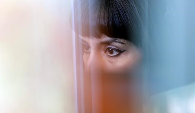Domestic violence hotline: Immigration-linked calls increase | iNFOnews.ca