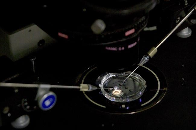 Stanford probes faculty ties to China gene-edited baby work | iNFOnews.ca