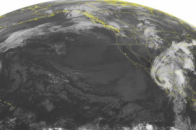 Newton on path toward Mexico's border with Arizona | iNFOnews.ca Newton on path toward Mexico's border with Arizona | iNFOnews.ca
