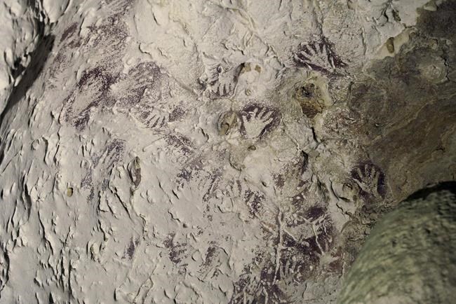 Red bull drawn in Indonesian cave dated to 40,000 years ago | iNFOnews.ca