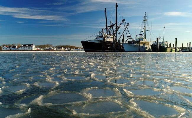 US cold snap was a freak of nature, quick analysis finds | iNFOnews.ca