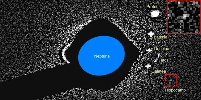 Neptune's newest, tiniest moon likely piece of bigger one | iNFOnews.ca