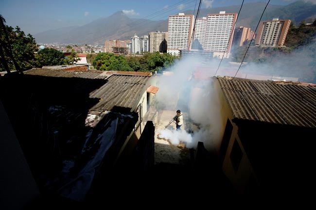 Doctors tie Zika virus to heart problems in some adults | iNFOnews.ca Doctors tie Zika virus to heart problems in some adults | iNFOnews.ca