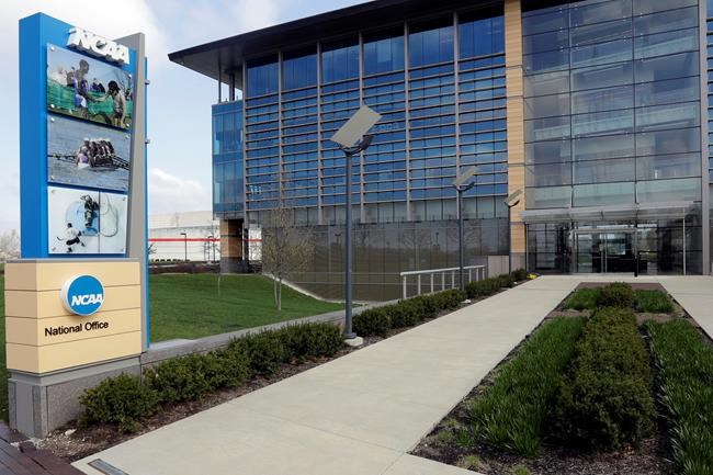 NCAA's top doctor: Testing crucial to having sports in fall | iNFOnews.ca